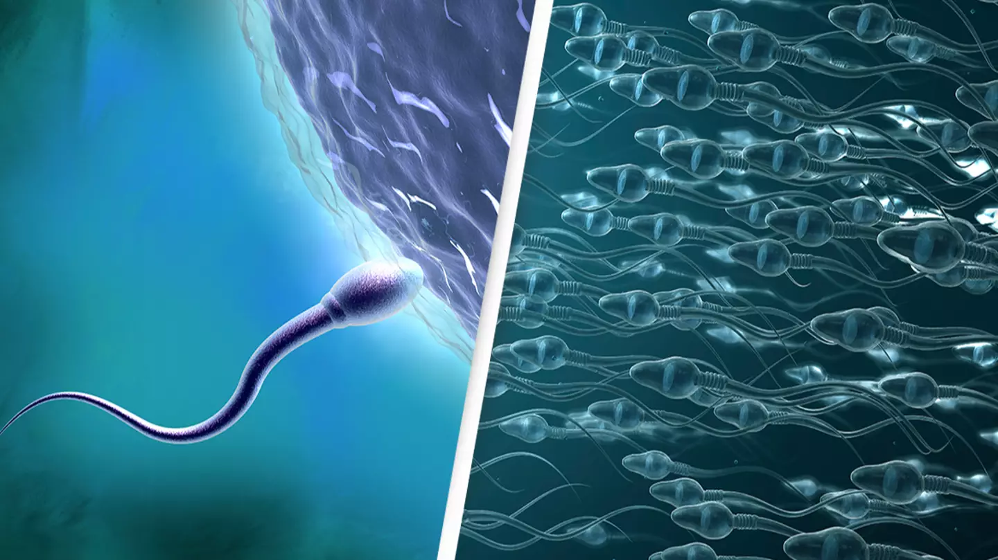 Scientists shocked after discovering that sperm breaks one of the laws of physics