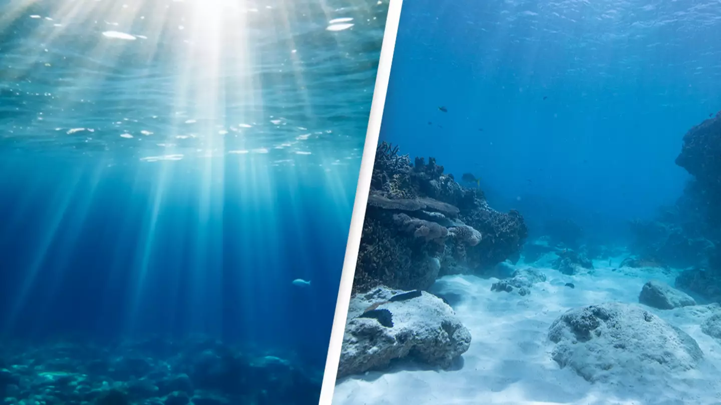 Ocean hidden under sea floor could be the cause of ‘slow motion’ earthquakes