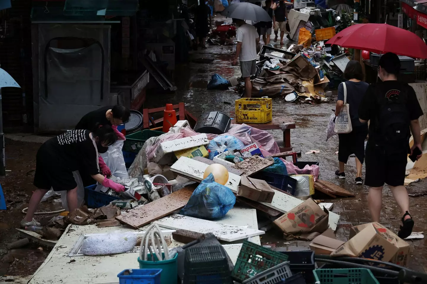 The country recorded its heaviest rainfall in 115 years.