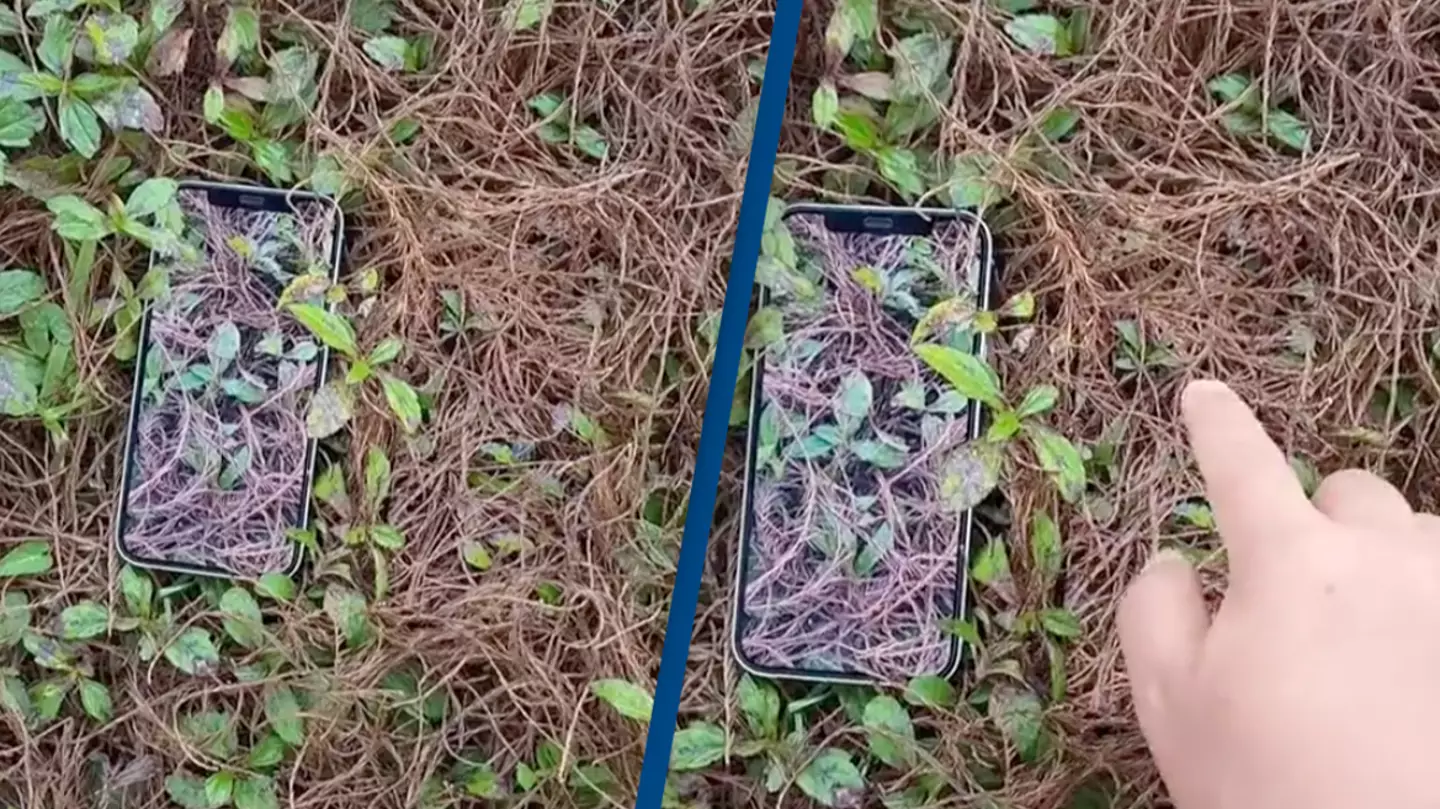 People are all asking one question after seeing phone's incredible ‘camouflage’