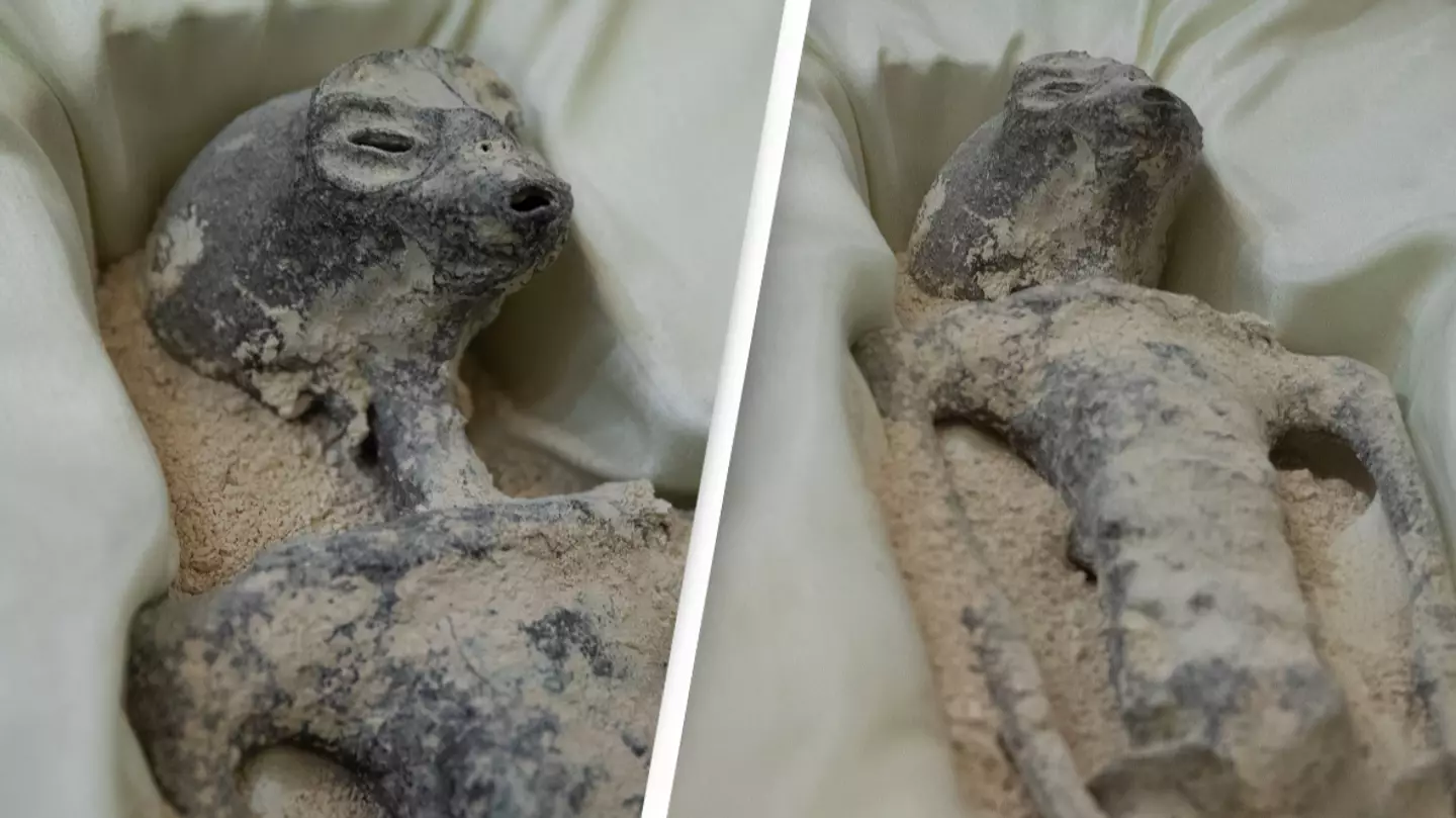 Daniel Cardenas/Anadolu Agency via Getty Images