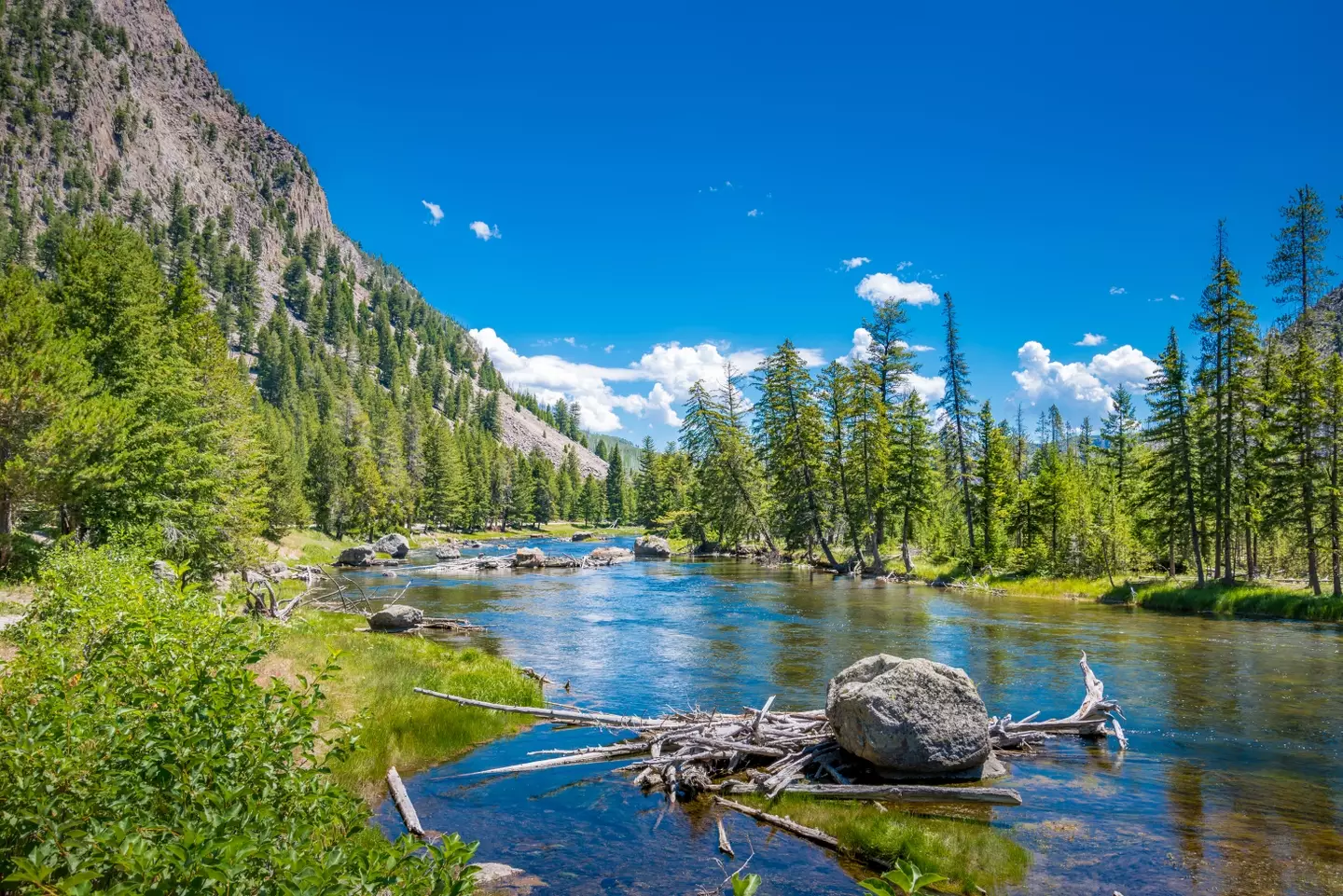 Yellowstone National Park is celebrating 150 years.