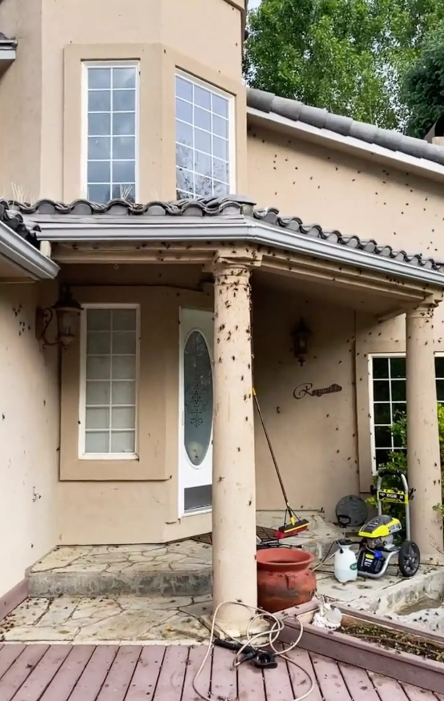 The horrified homeowner said it was the most disgusting day of her life.