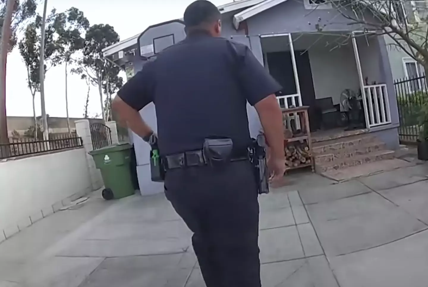 The officers visited the house after receiving a domestic violence 911 call. Luis Herrera's parents later emerged from the house.