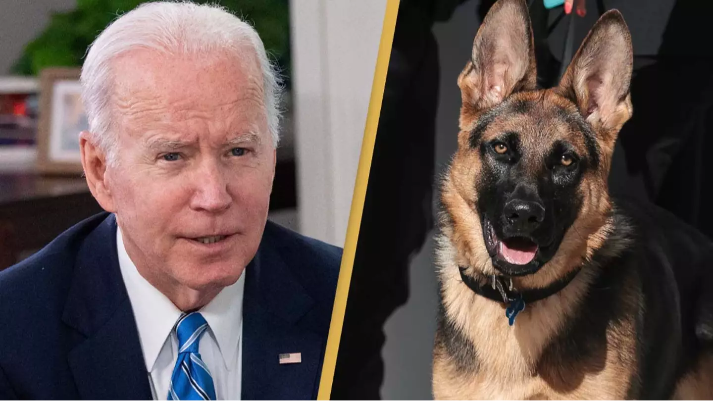 President Joe Biden's dog Commander accused of biting at least 7 people