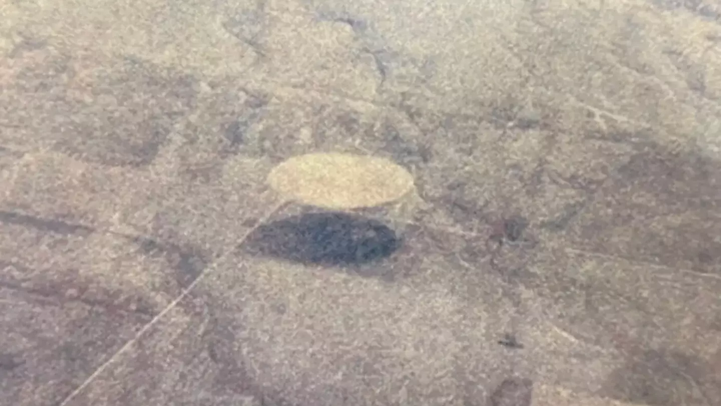 Twitter/UAP Disclosure Fund