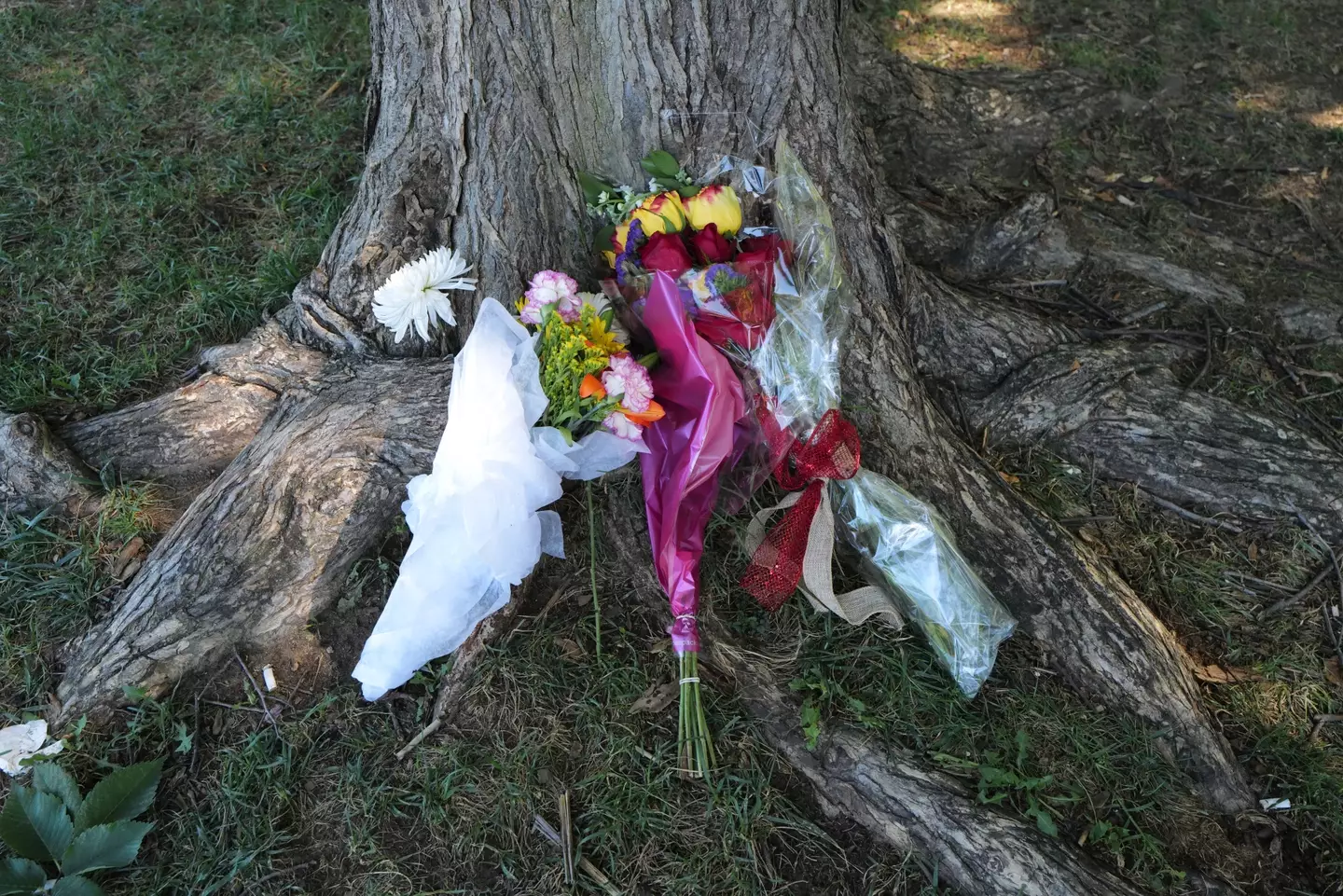 Tributes have been paid to the three people who died in the lightning strike.