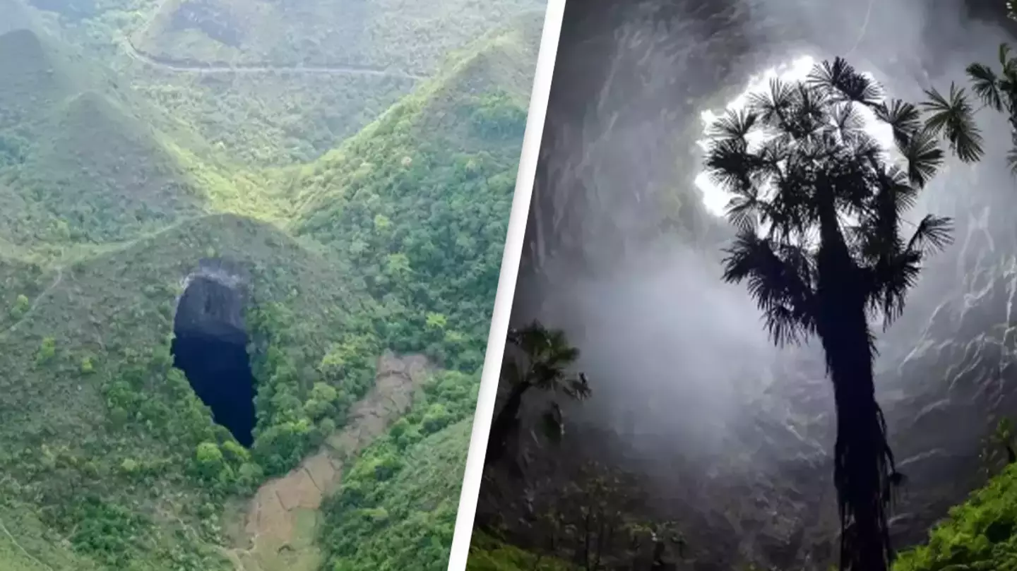 Huge ancient forest world discovered 630ft down sinkhole in China