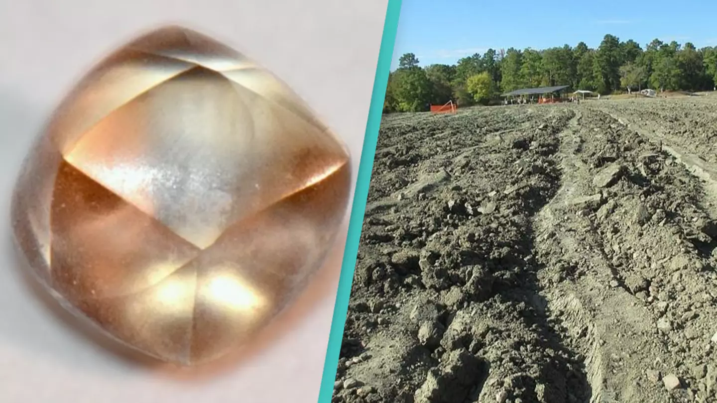 7-year-old discovers massive 2.95 carat diamond in state park