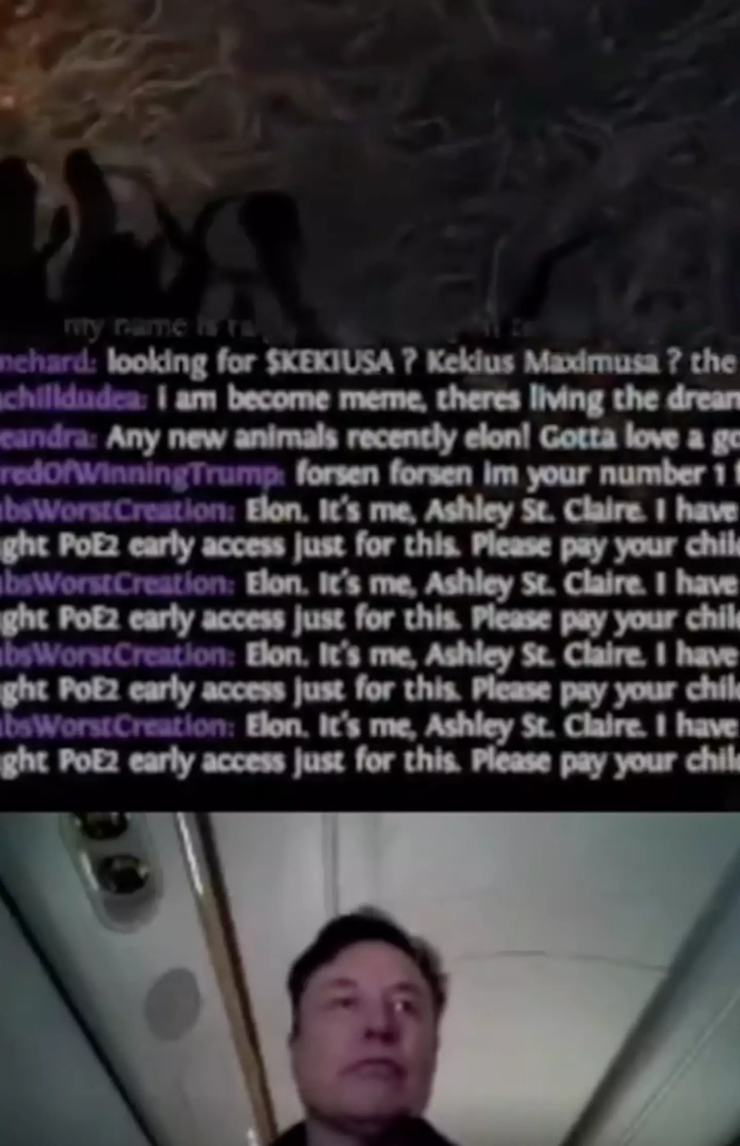 Trolling comments came flooding in during the livestream (X/Elon Musk)