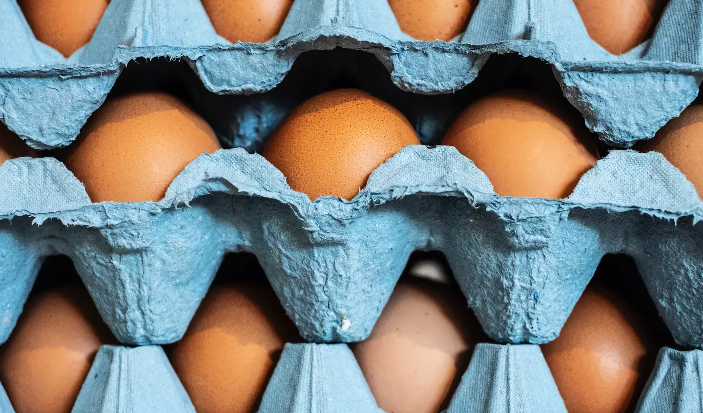 I certainly wouldn't have wanted to share a restroom with this guy (Getty Images/ Mint Images)