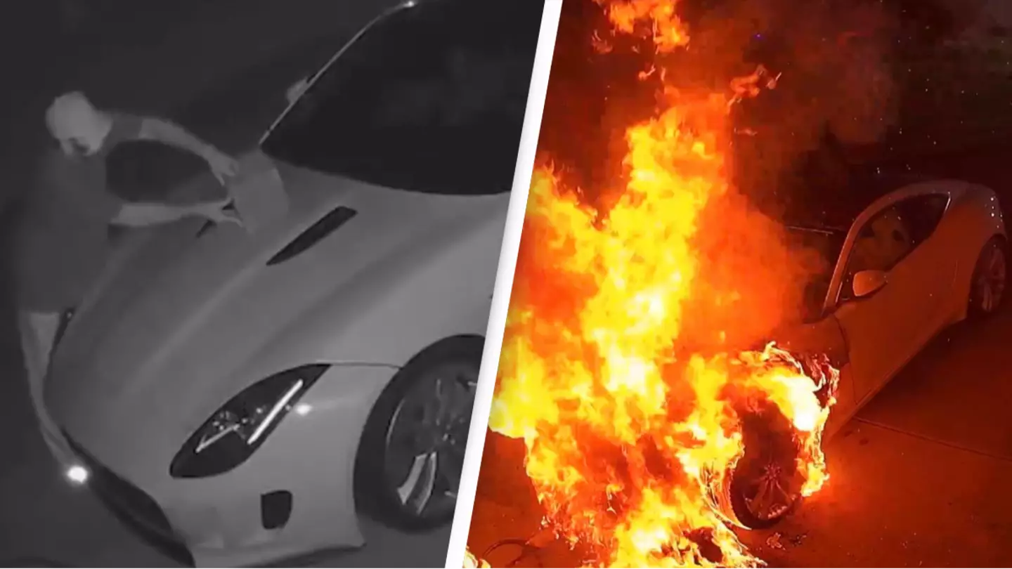 Twitch streamer's viewer travels 700 miles to her house to set fire to her car
