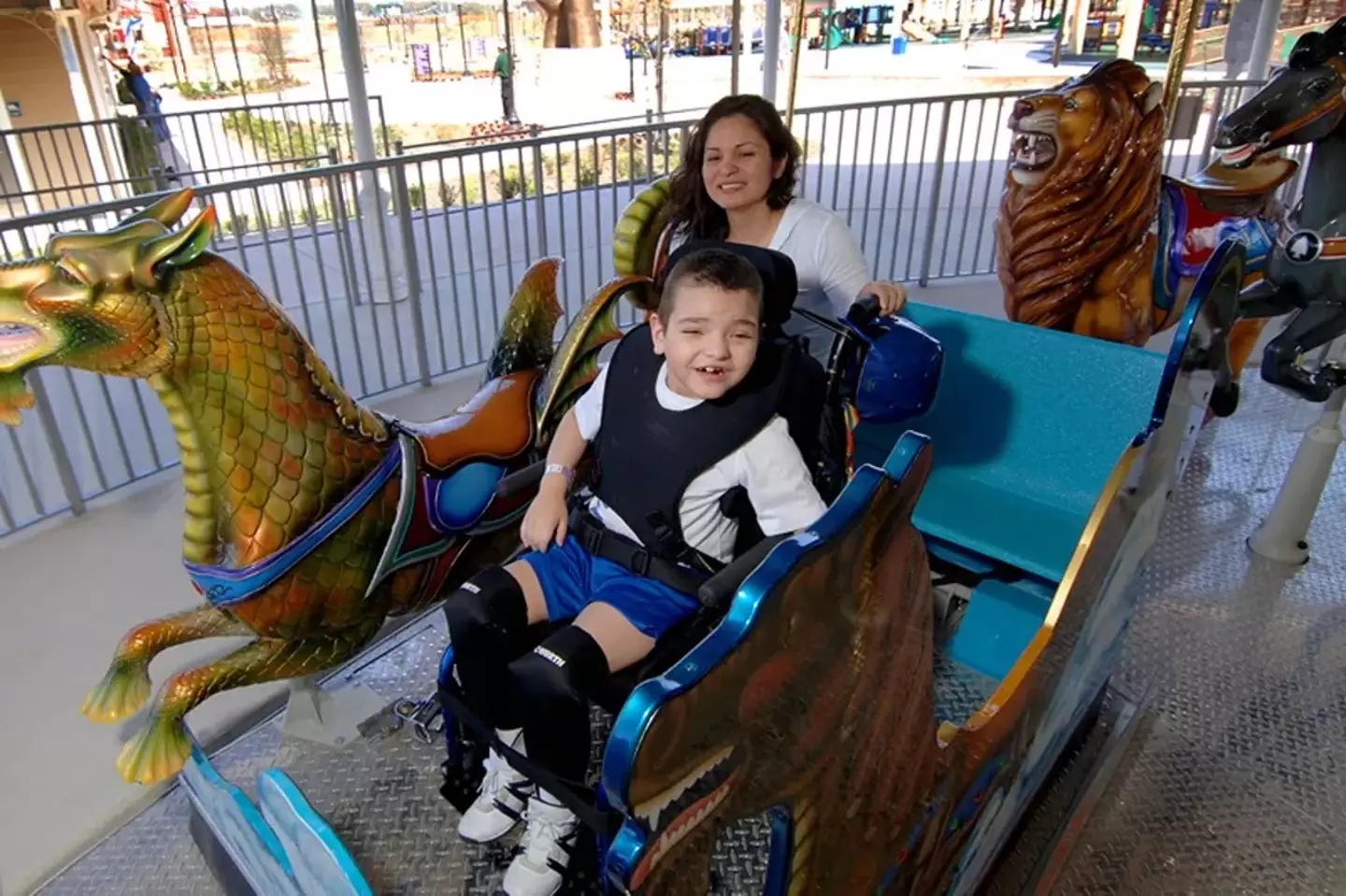 The carousel has been adapted for wheelchair users.