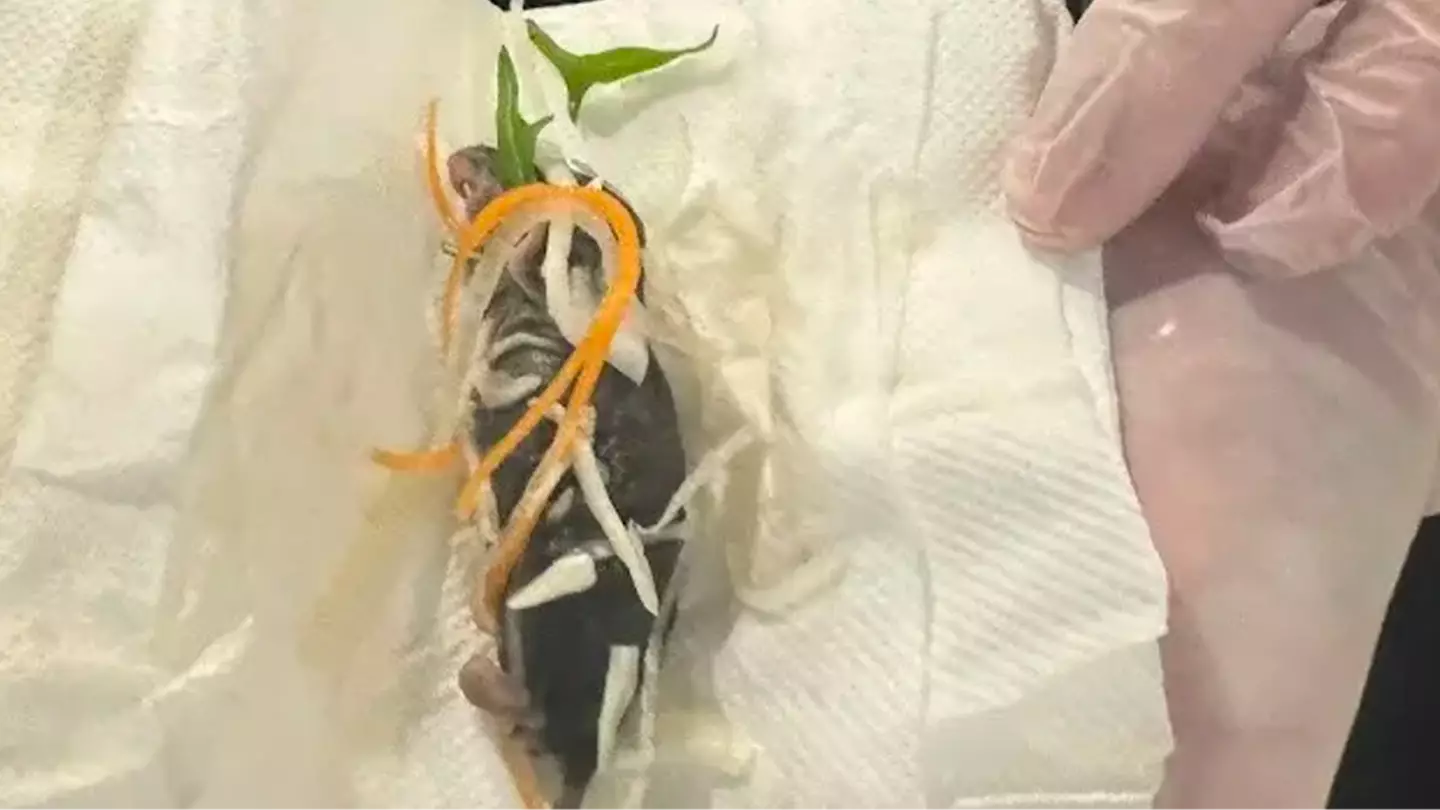 Restaurant issues apology after customer makes horrific rat discovery in 'half-eaten' salad