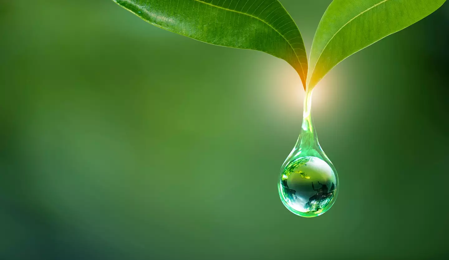 The researchers note water could've been present in the early universe (Getty Images)