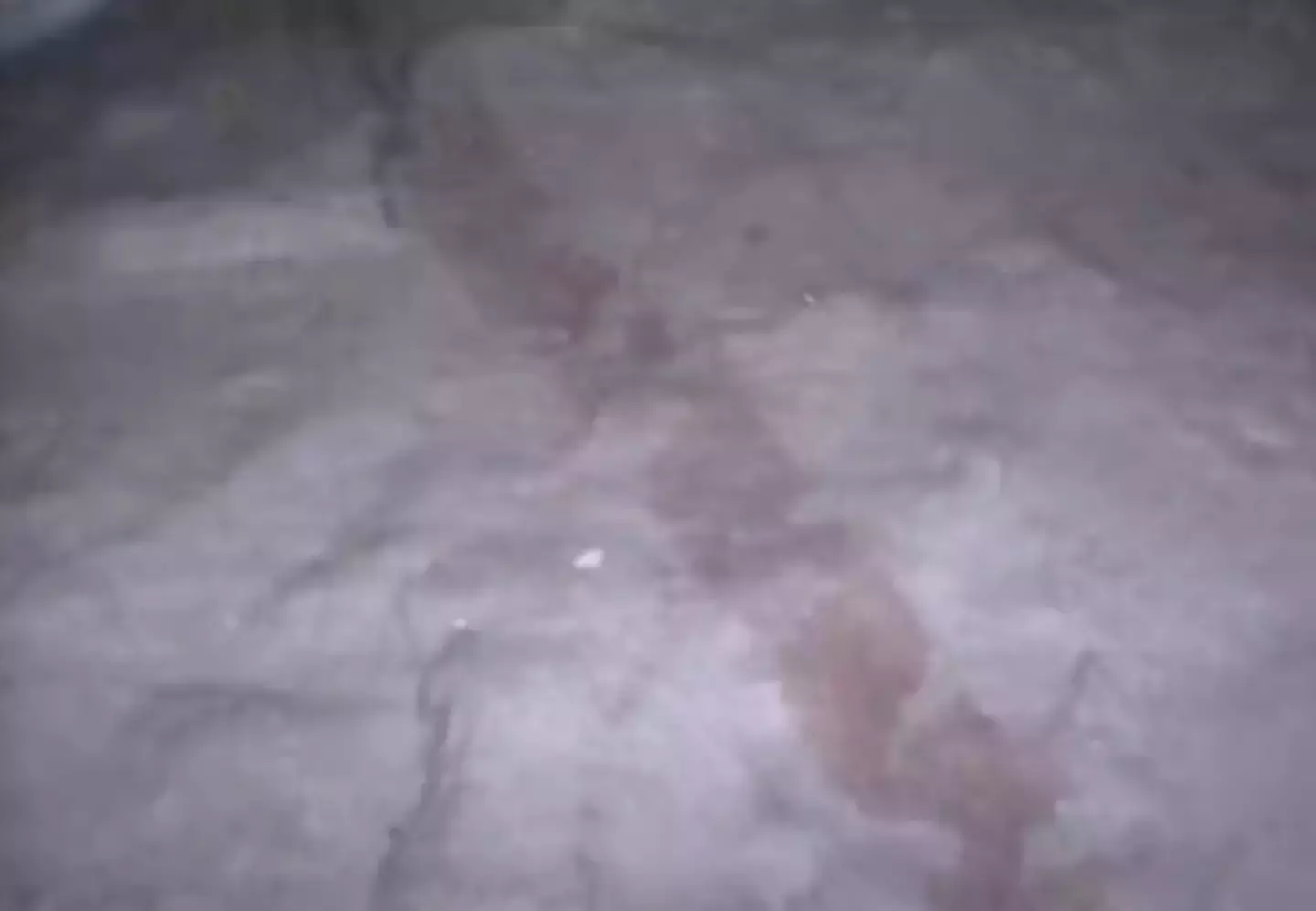 The robot camera revealed strange markings on the floor of a chamber (YouTube/Ancient Architects)