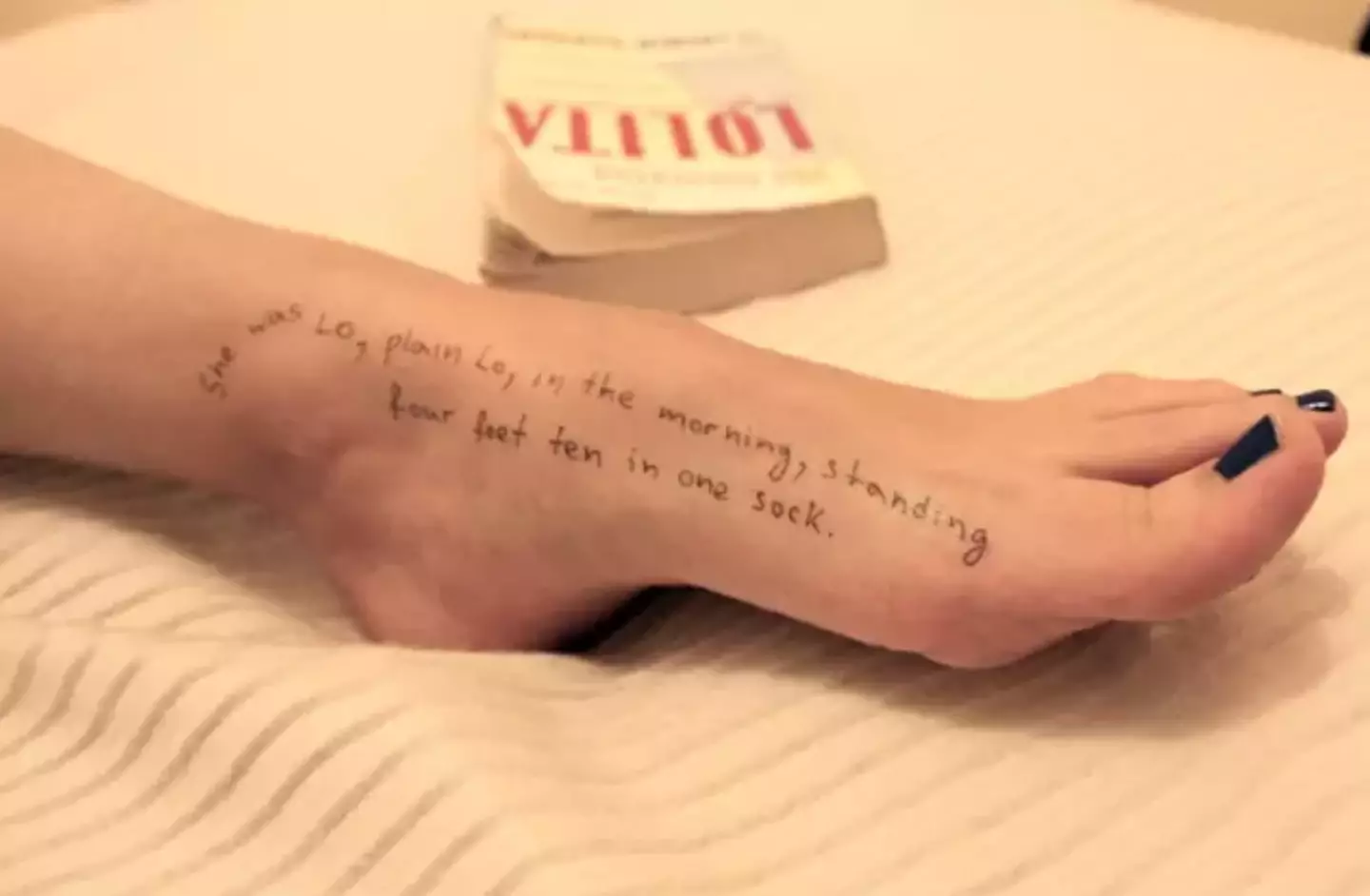 The messages appear to be extracts from the 1955 novel Lolita (The House Oversight Committee Democrats)