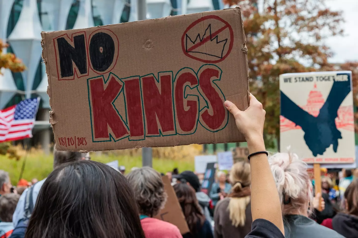 The No Kings rallies took place across all 50 states, according to reports (Mark Kerrison/In Pictures via Getty Images)