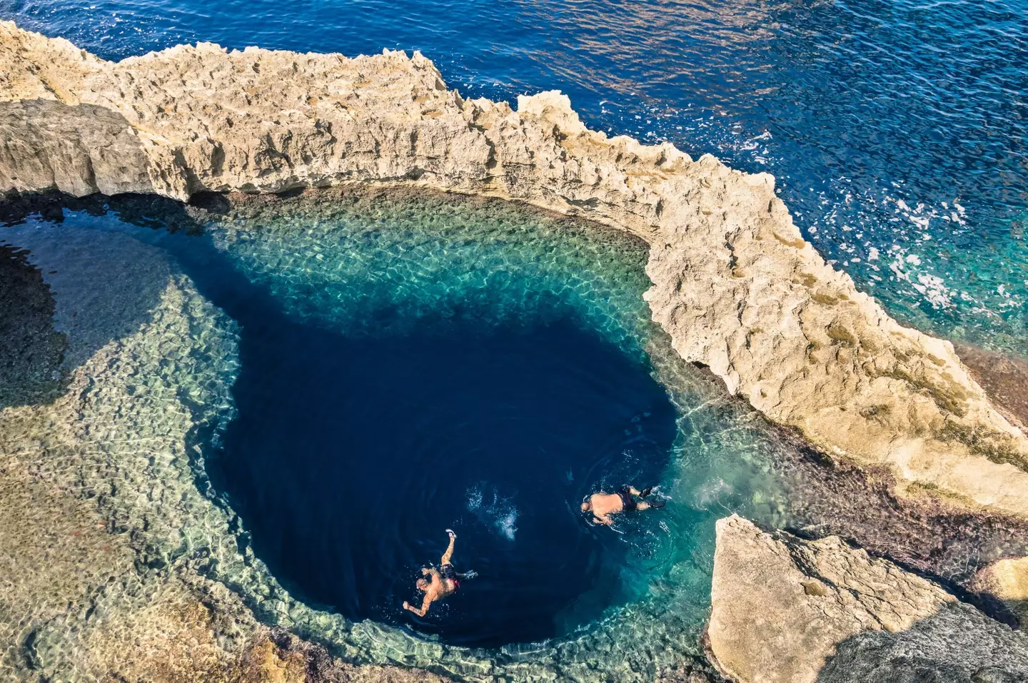 It was discovered in the Chetumal Yucatan Peninsula of Mexico.