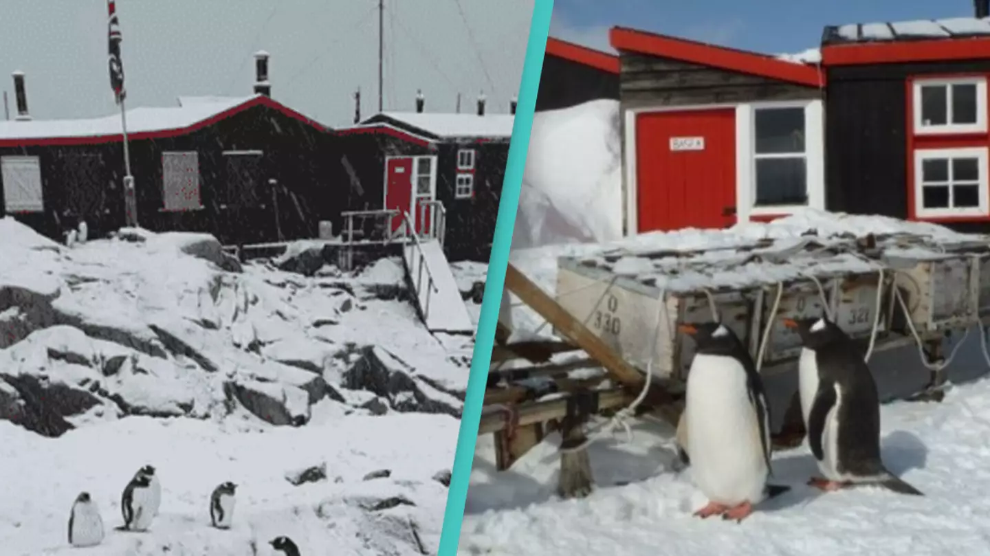 World’s most remote post office has very unique job description