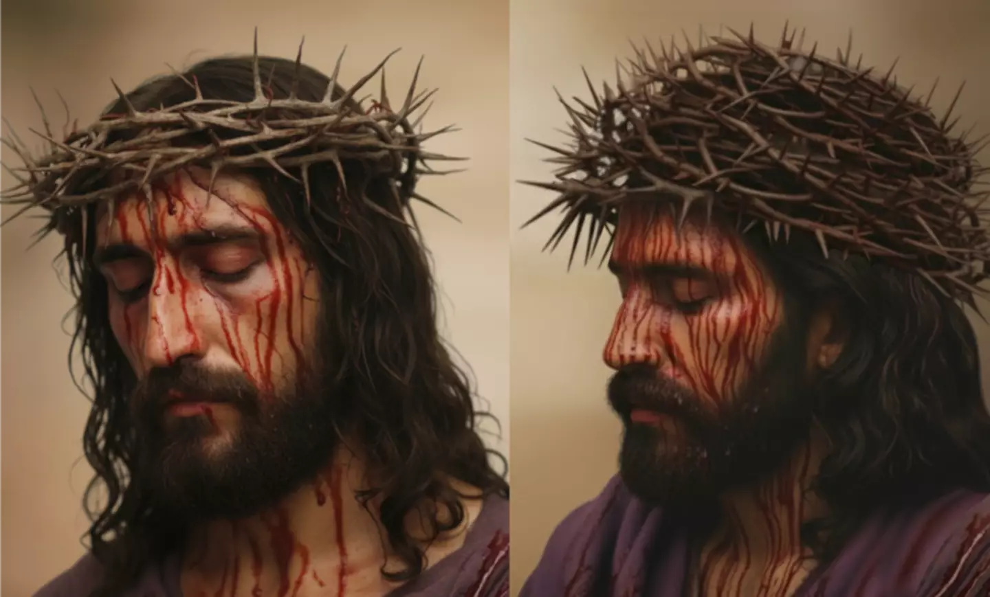 An image from Grasso's study (Otangelo Grasso)