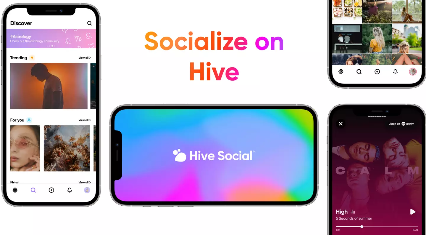Hive Social was founded in 2019.