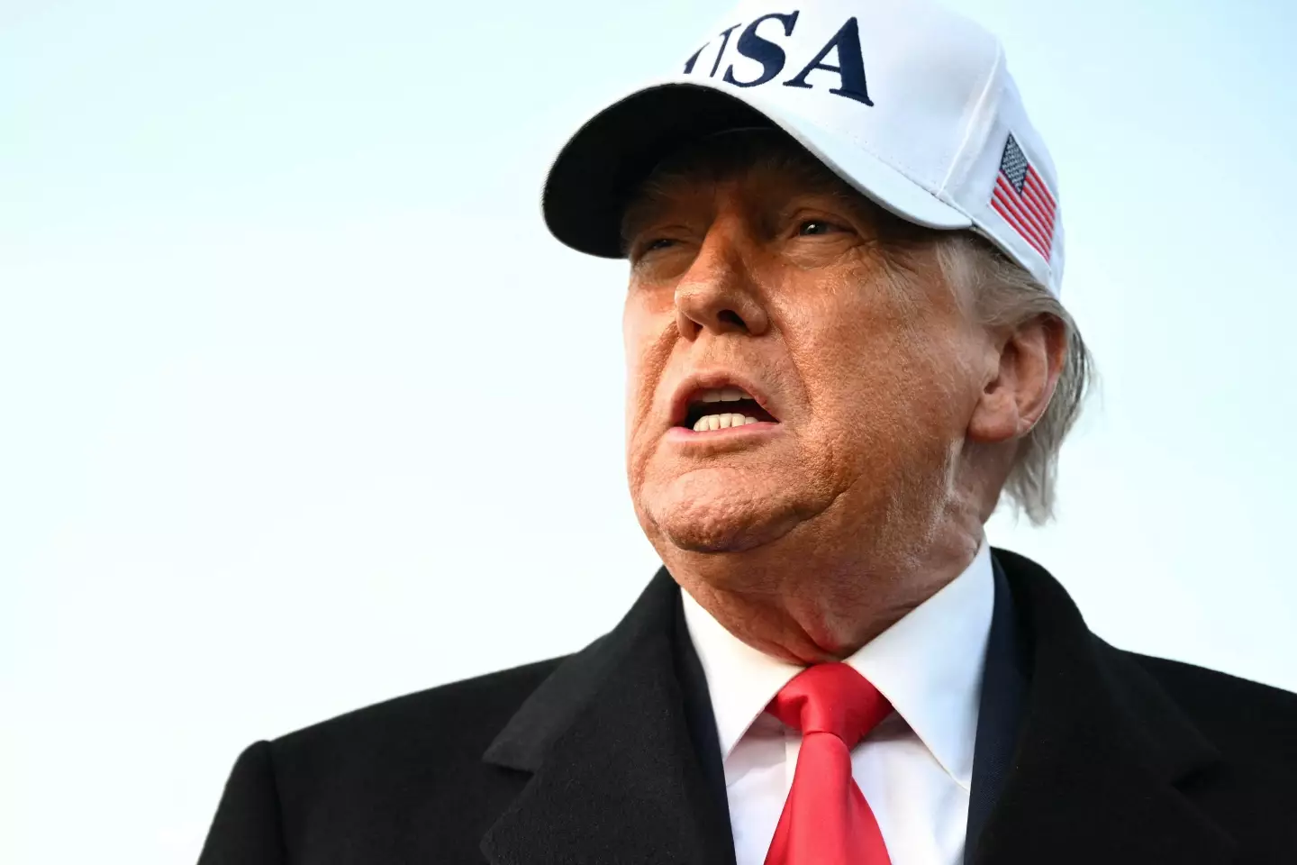 The Trump administration is cracking down on visa applications from 75 countries (Mandel NGAN/AFP via Getty Images)