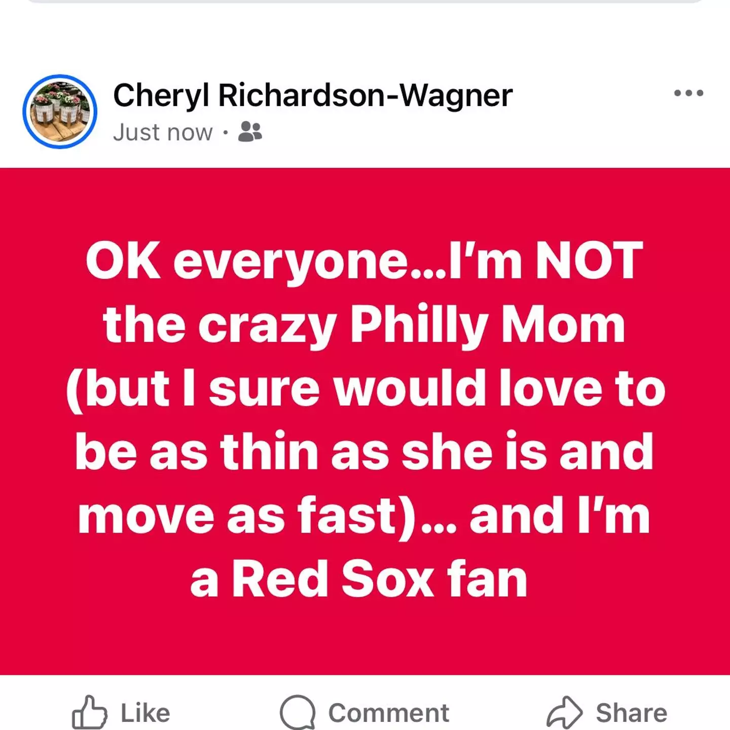 Cheryl Richardson-Wagner confirmed she is not the fan in the video (Facebook)