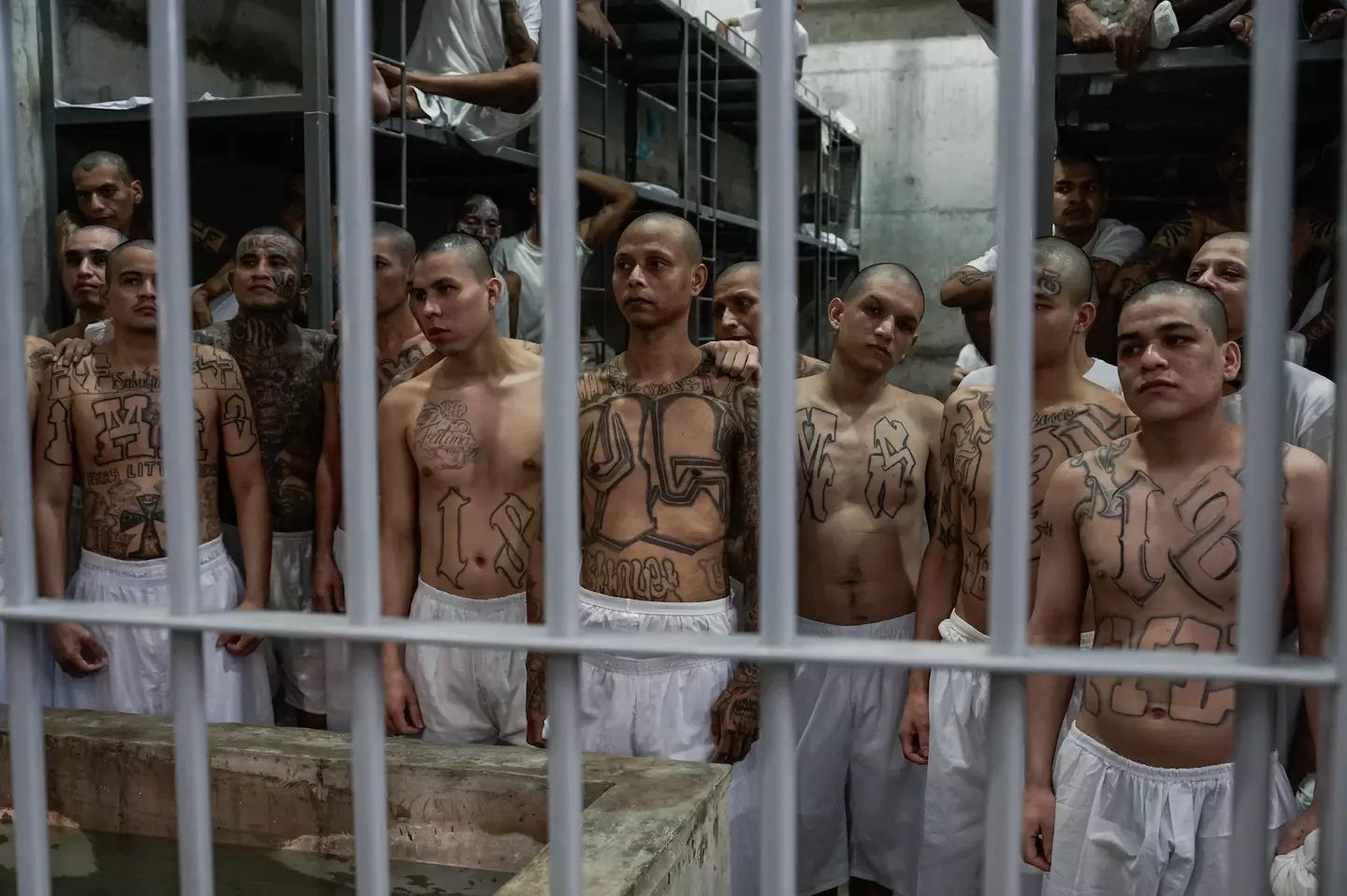 A judge hoped to stop the deportation before it happened (Alex Peña/Getty Images)