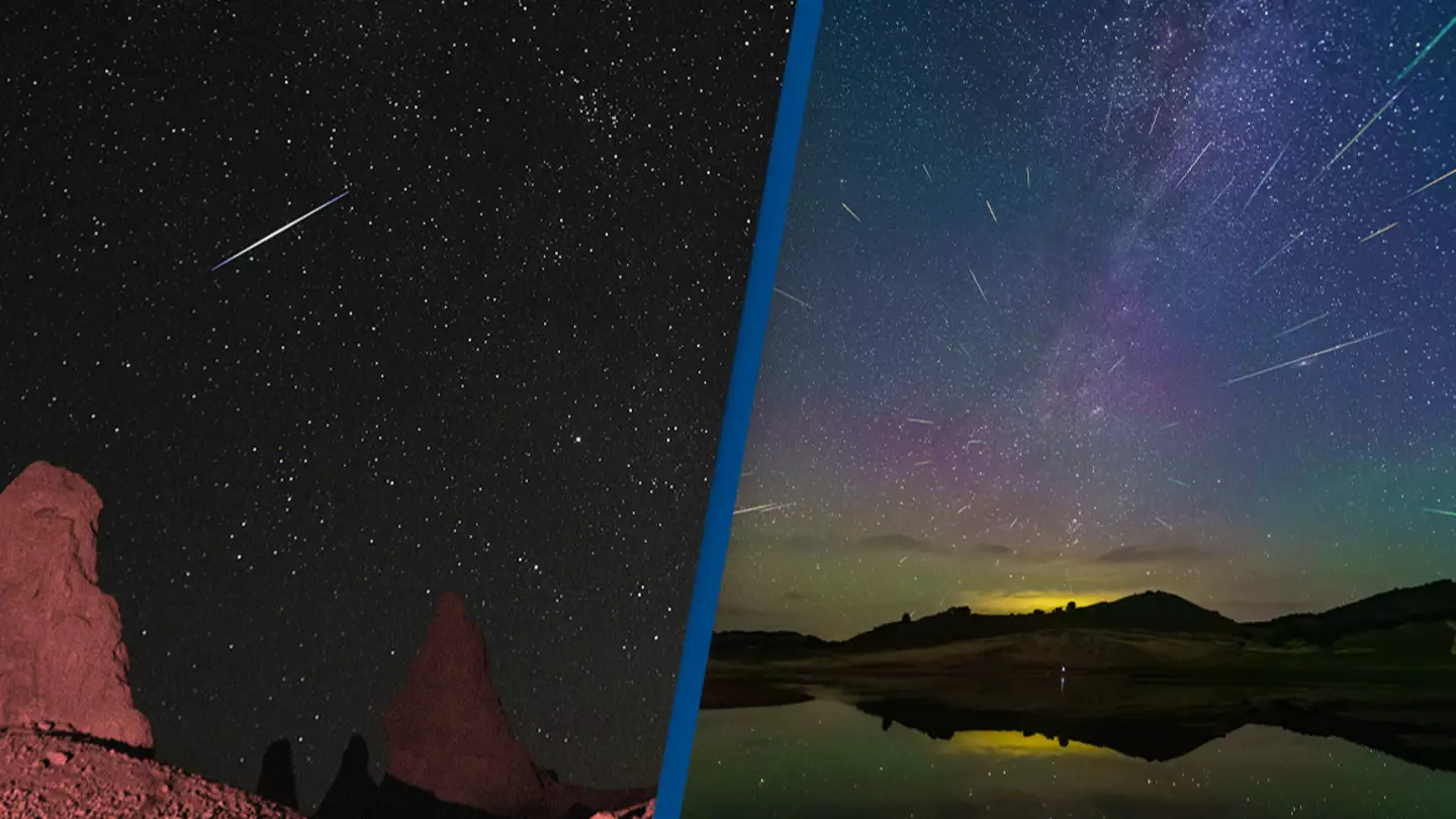 NASA urges people to leave cities for best view of meteor shower this weekend