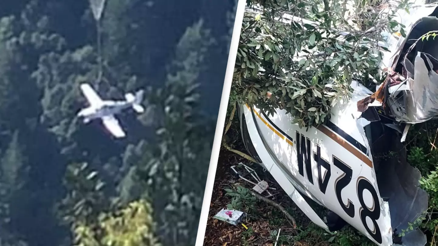Couple and two-year-old daughter survive plane crash after quick-thinking action prevented disaster
