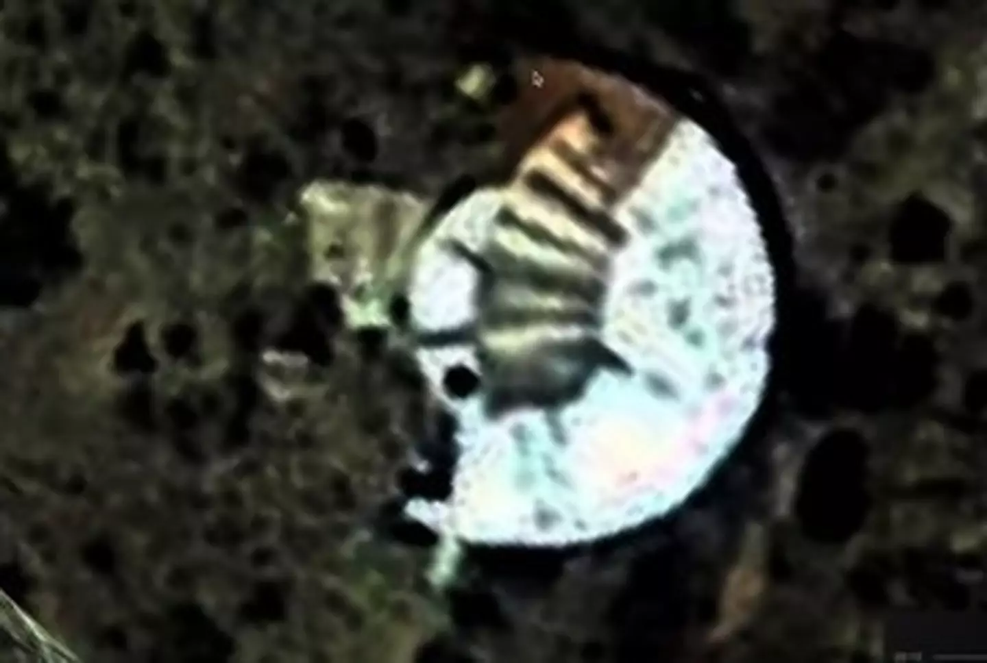 A close up of the suspicious object (Google Maps/Twitter/@Ovniologia01)