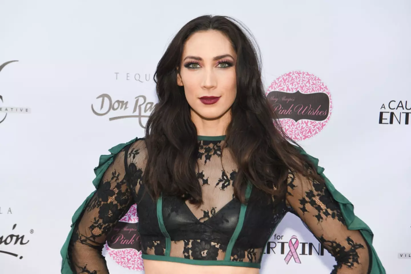 Devyn LaBella is taking Kevin Costner to court over an alleged 'unscripted rape scene' that she was involved in, in Horizon: An American Saga - Chapter 2 (Michael Bezjian/Getty Images for A Cause for Entertainment)