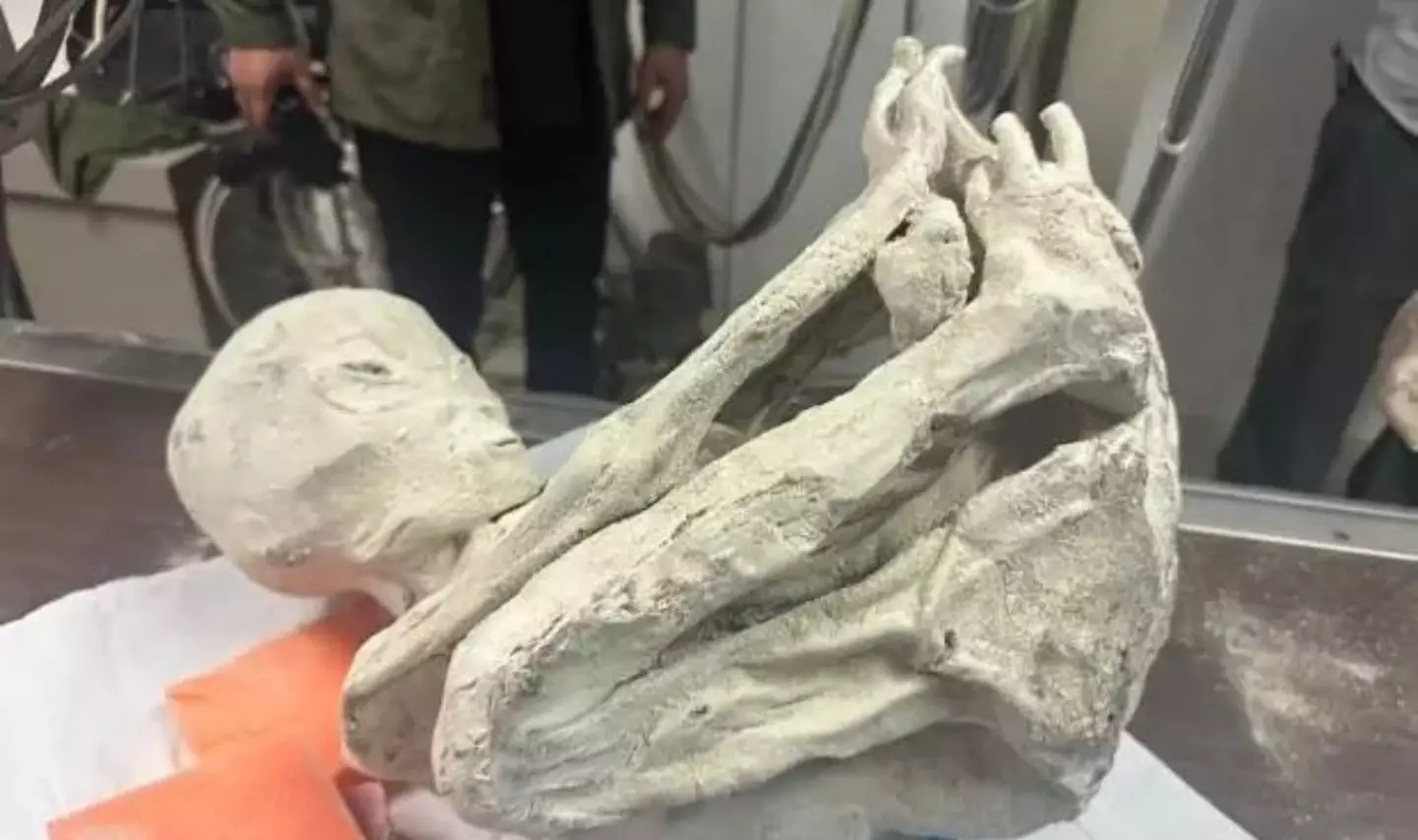 Research into the 'aliens' continues. (This Is Not A Hoax the Nazca Alien Autopsies)