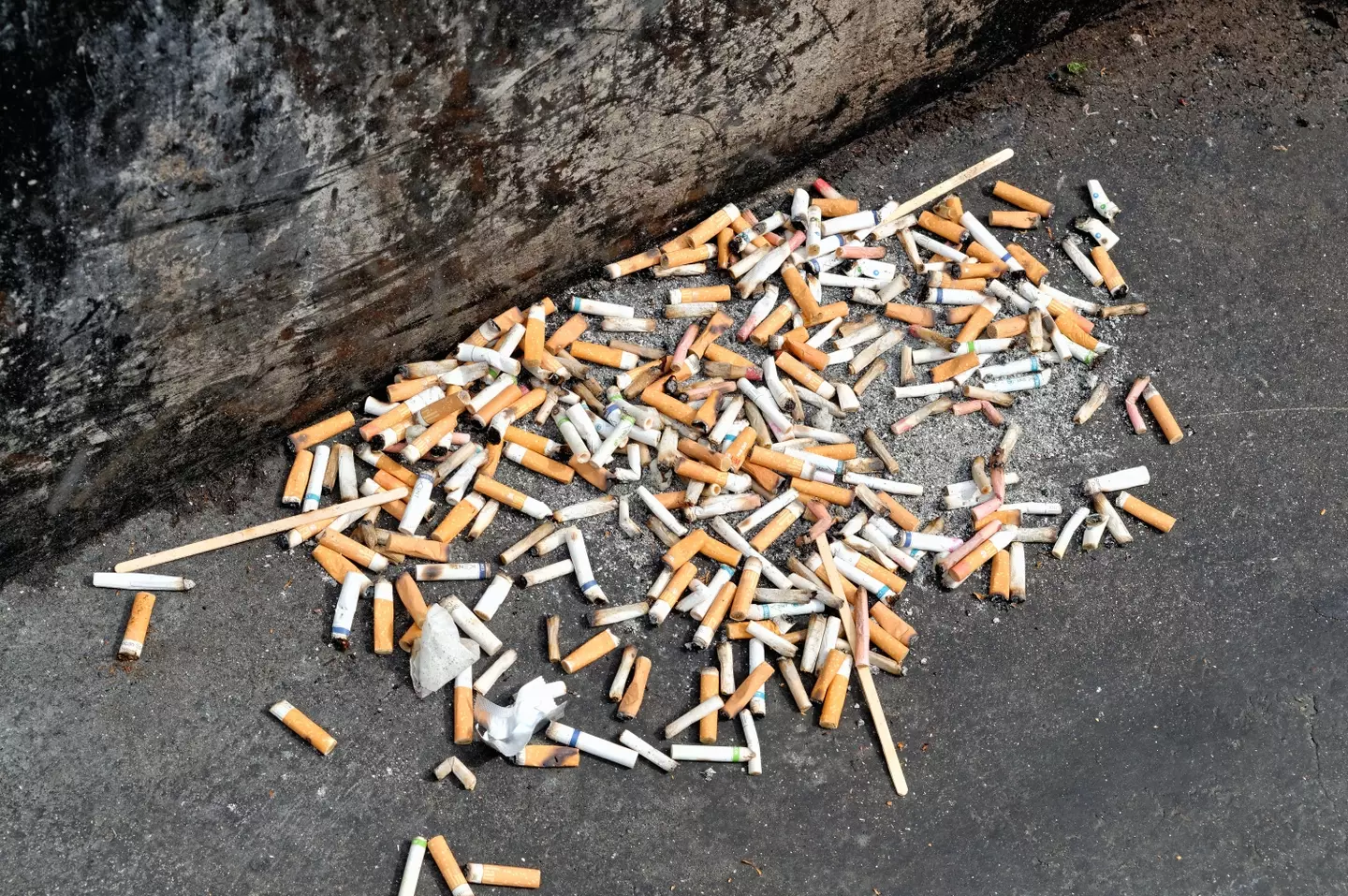 4.5 billion cigarettes are discarded every year.