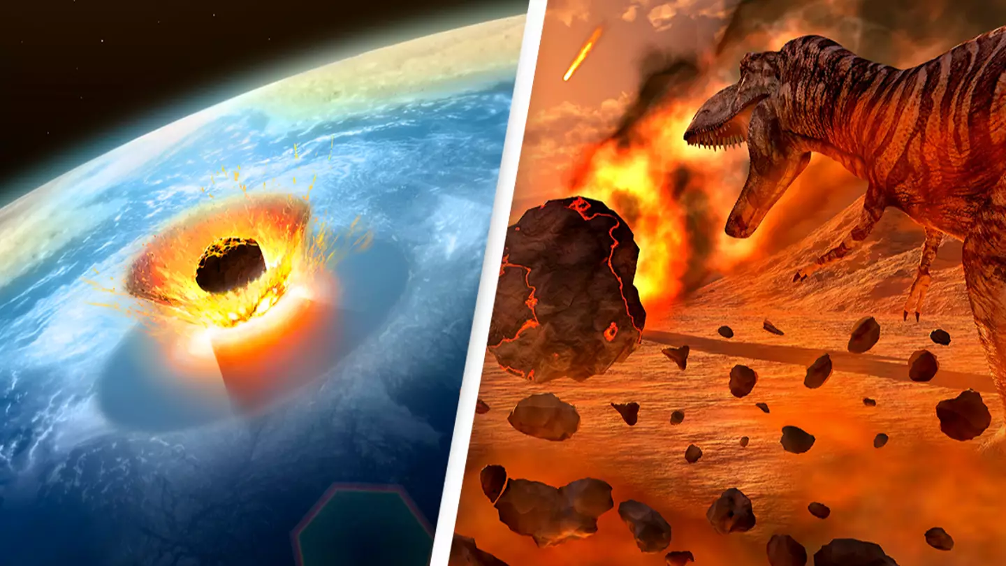 Scientists reveal that it was not the impact of the asteroid that killed off the dinosaurs