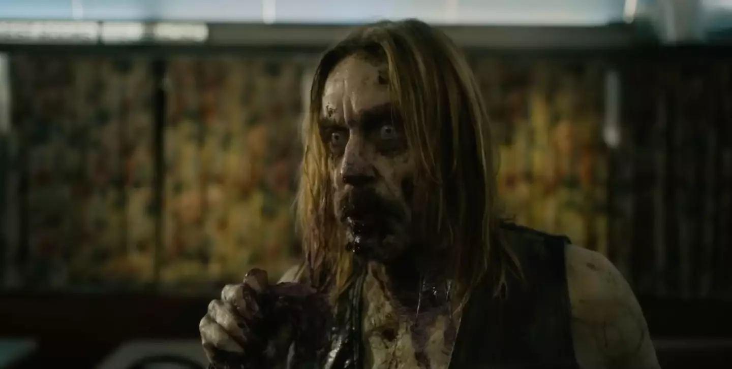 Viewers were left divided by the movie's deadpan comedy style (Focus Features)