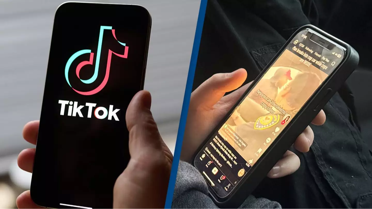 Experts reveal what will happen to the TikTok app on your phone once it's banned in the US