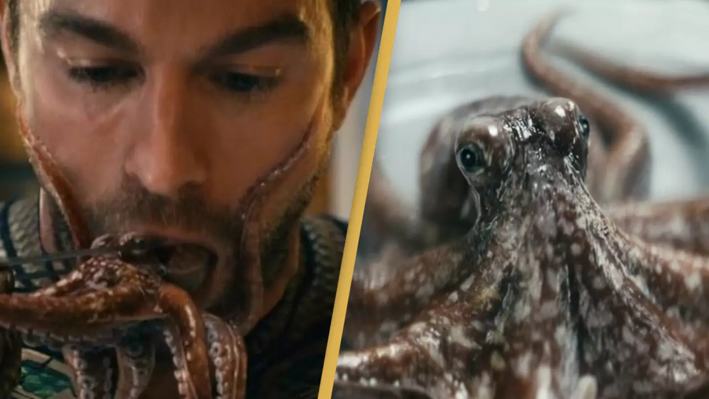 PETA Thanks The Boys For Its Octopus Scene