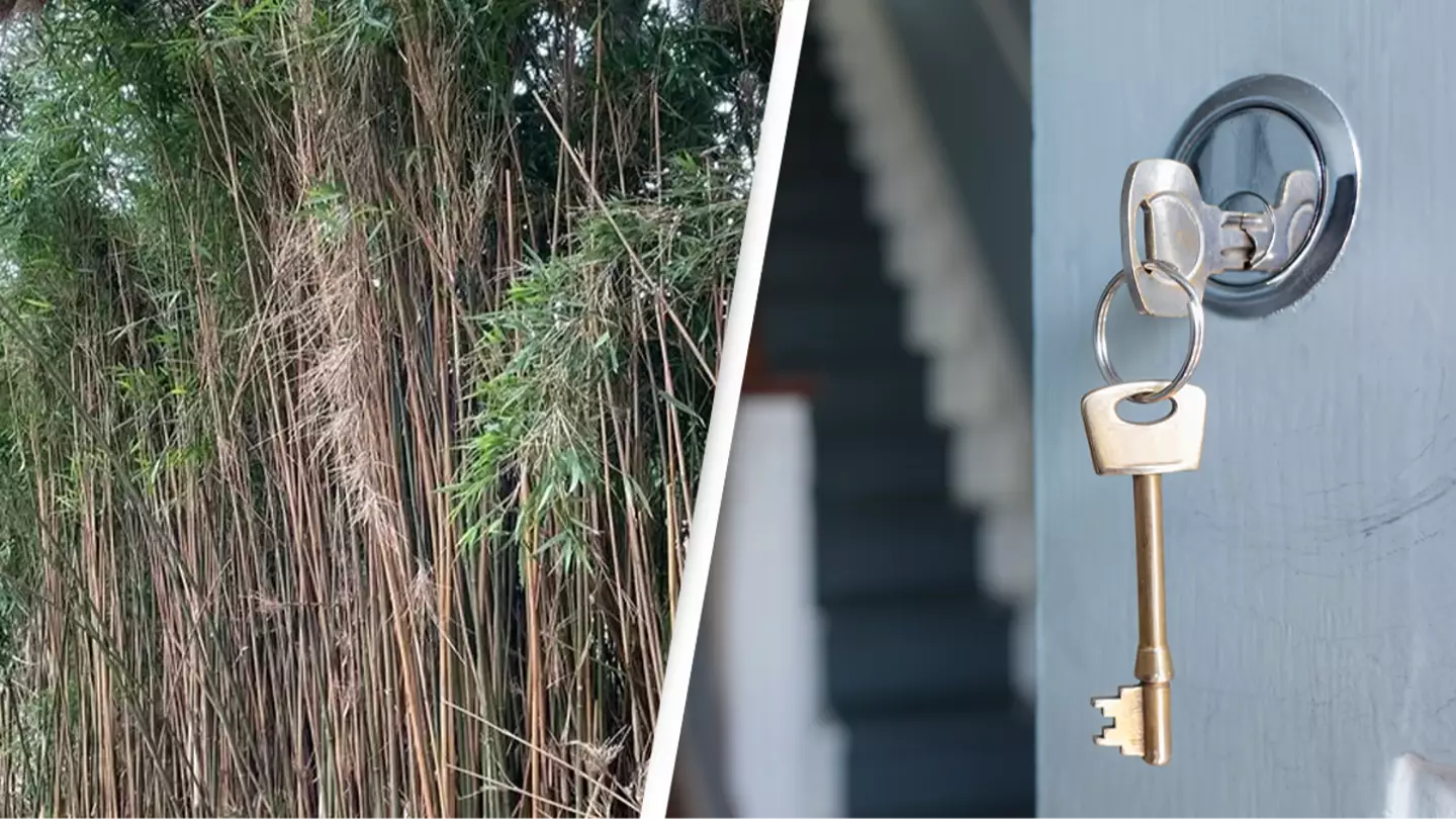 Woman about to buy her first house pulls out of deal after spotting a 'red flag' in the garden