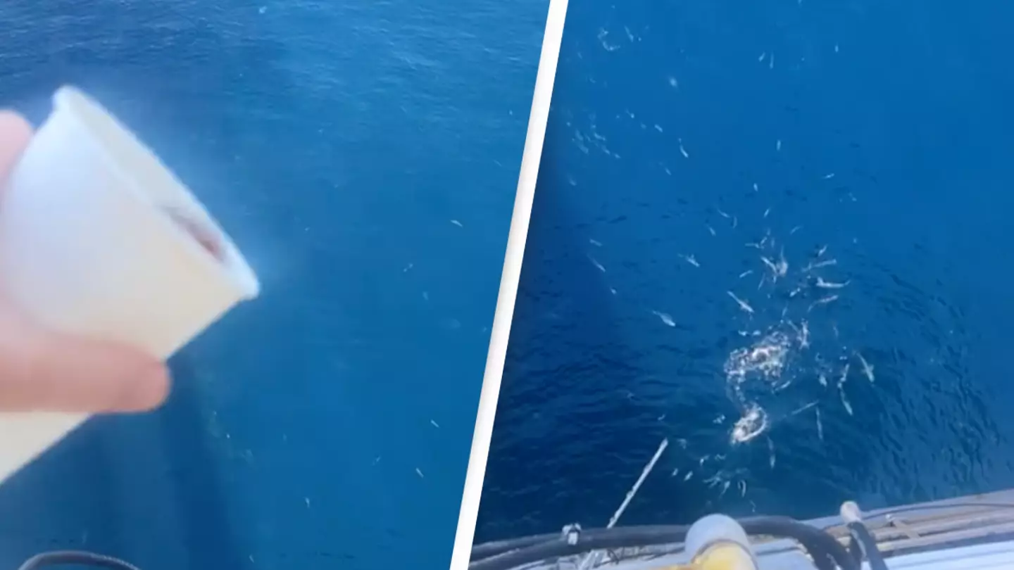 Unnerving video shows one of the reasons falling overboard is a ‘death trap’