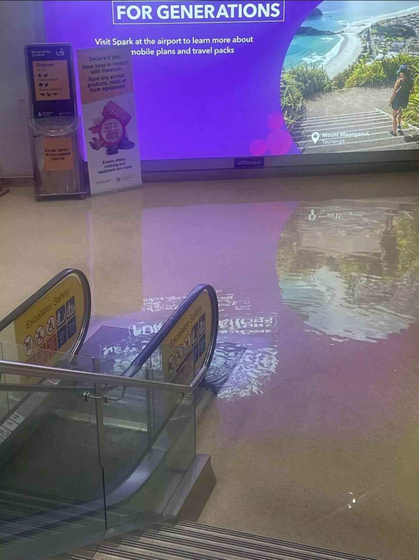 The rain left travellers stuck inside the terminal buildings wading through knee-deep flood water.