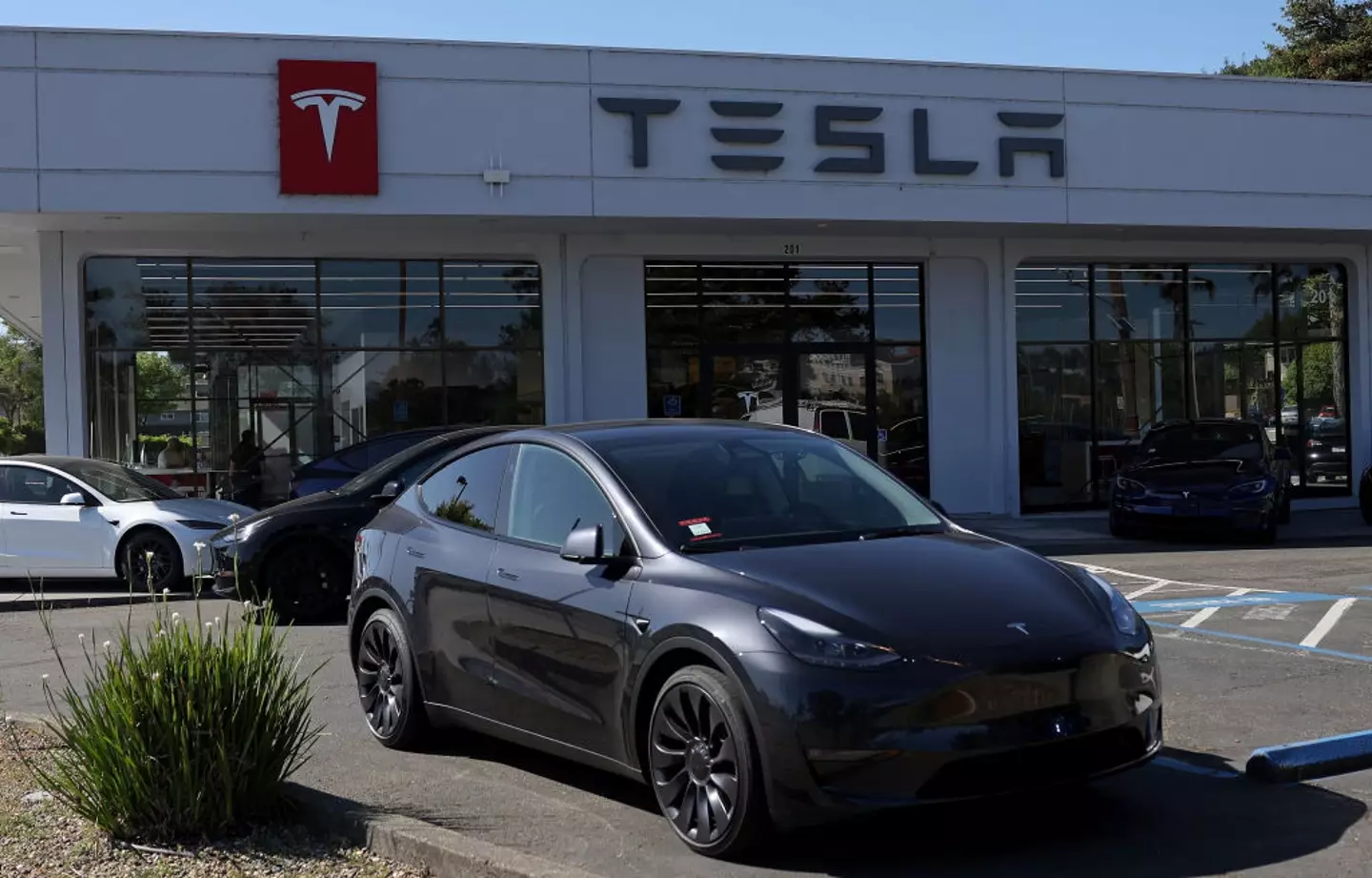 Tesla is one of the most popular EV brands across the globe (Justin Sullivan/Getty Images)