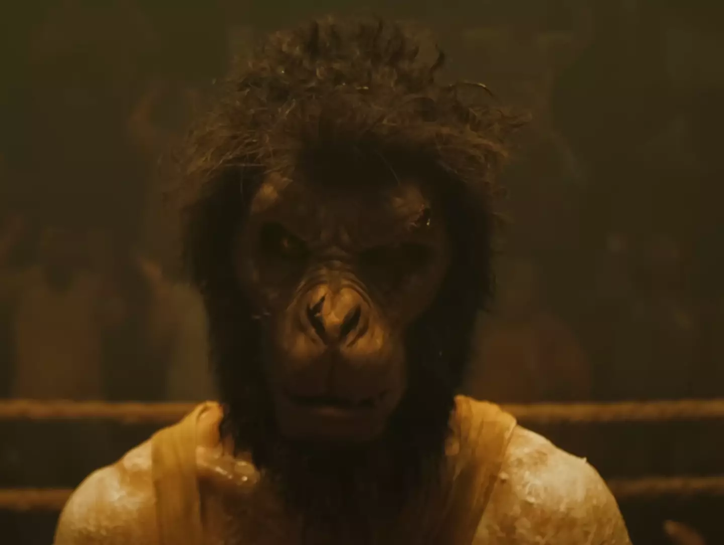 If you enjoyed the John Wick saga then you’ll likely enjoy Monkey Man.