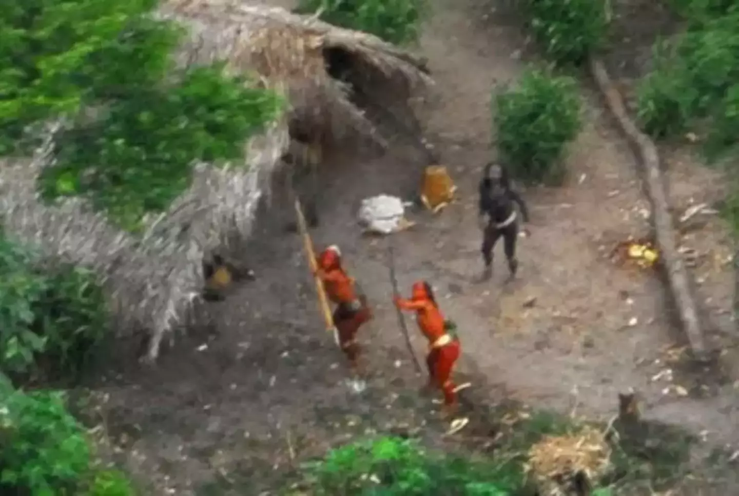 The pictures of the uncontacted tribespeople of Brazil were taken in 2008.
