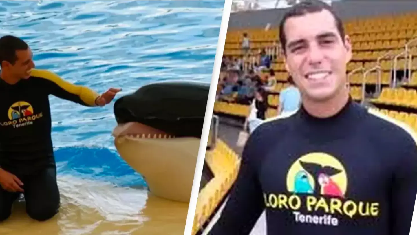 SeaWorld orca who killed trainer and ‘played with body’ dies after spending whole life in captivity