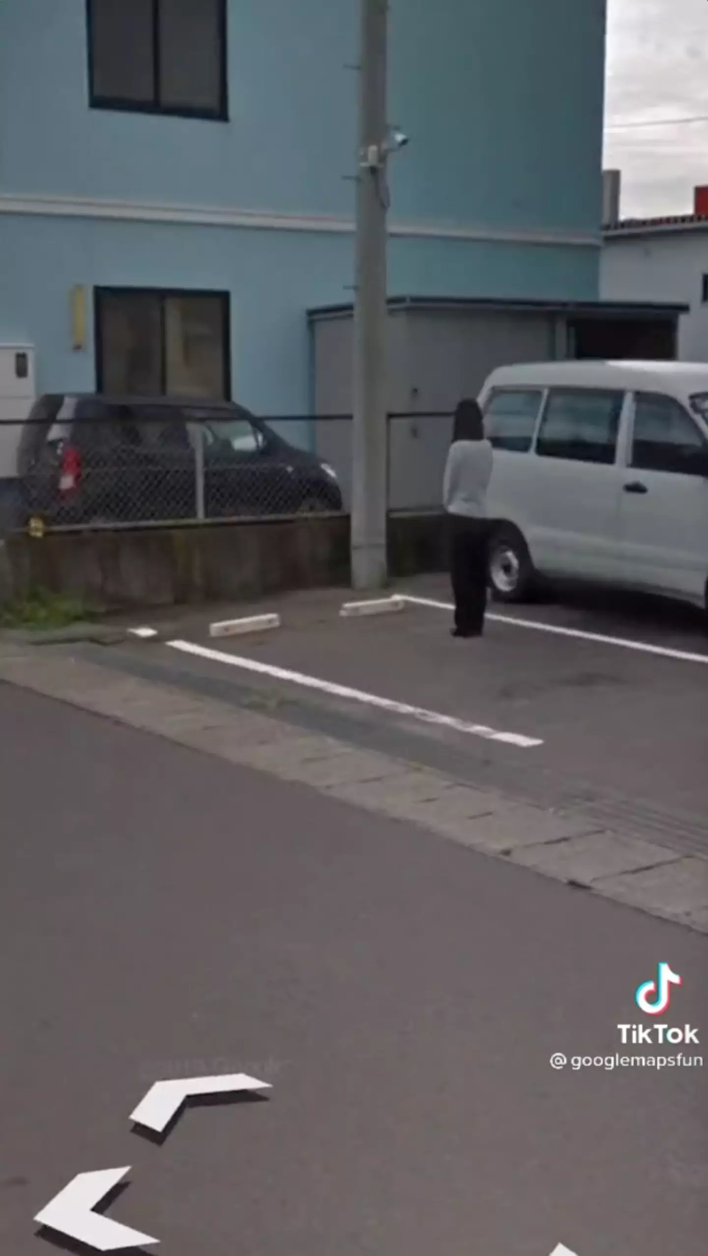 The unidentifiable person in Fukushima. (@googlemapsfun/TikTok)