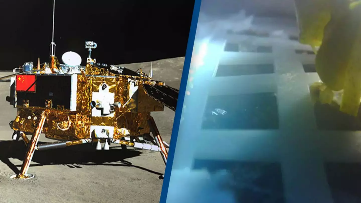 First-ever lunar farm proves we can successfully grow plants on the moon