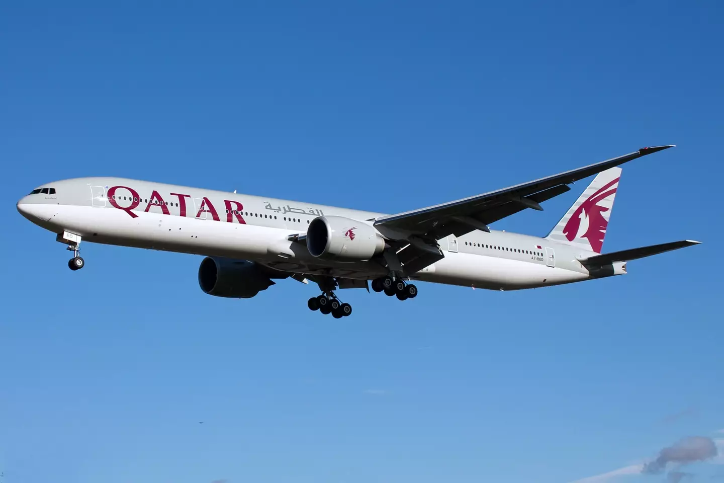 Qatar Airways accused Nehme of having been 'aggressive' and 'rude' to its check-in staff.