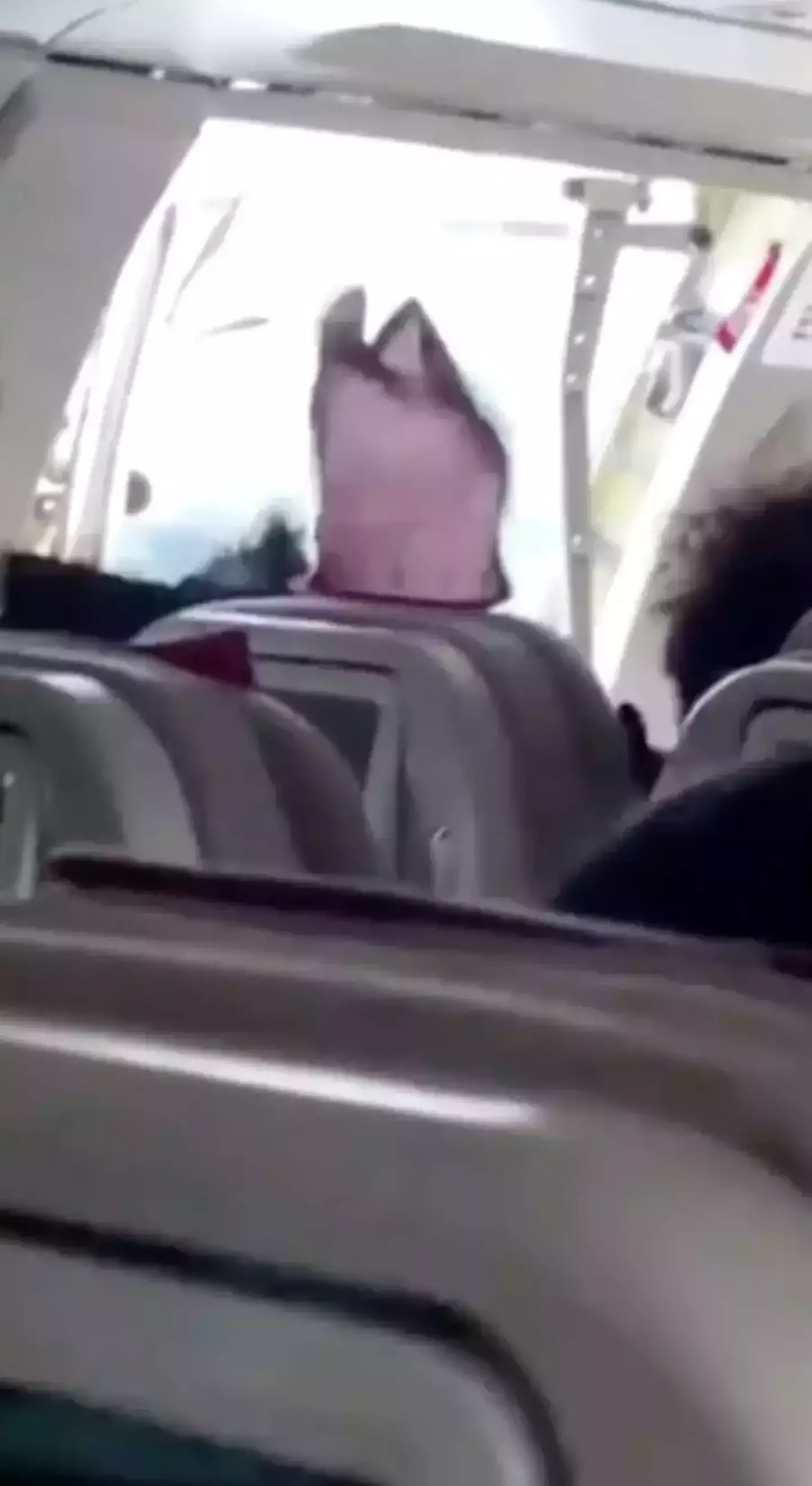 The door was flung open at around 700 feet during landing.